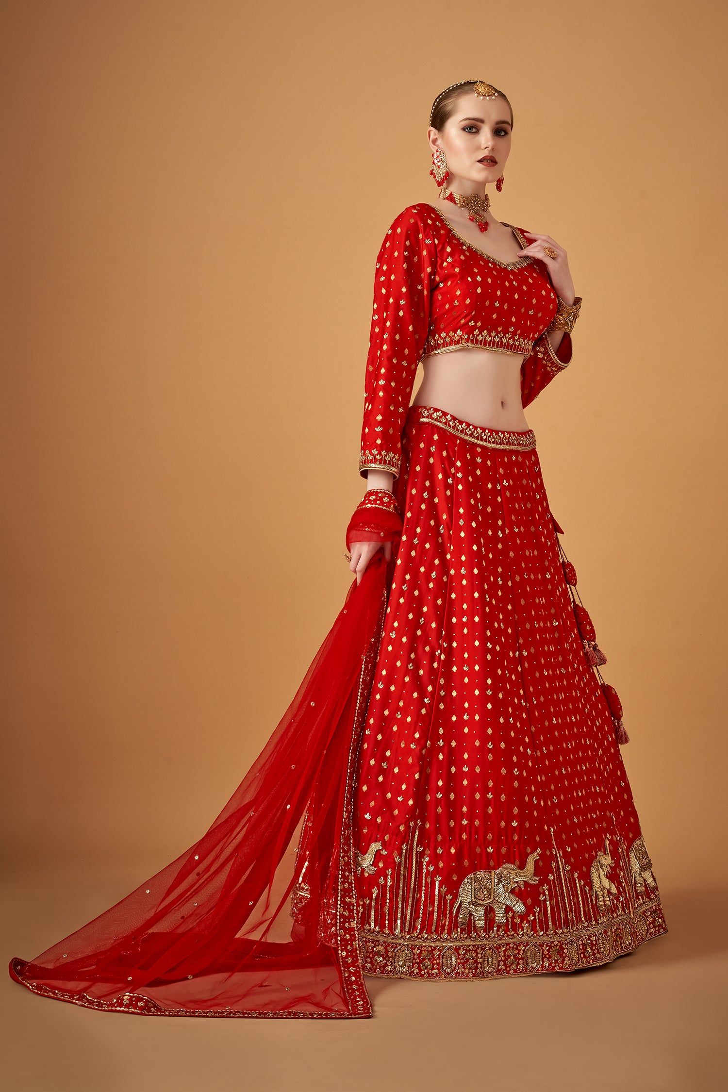 Red Traditional Jacquard Handwork Lehenga Set