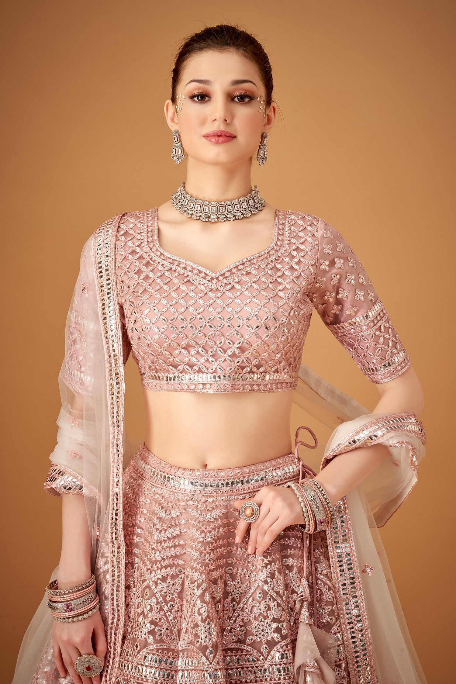 Powder Pink Embroidered Lehenga Set With Silver Foil Embellishmments