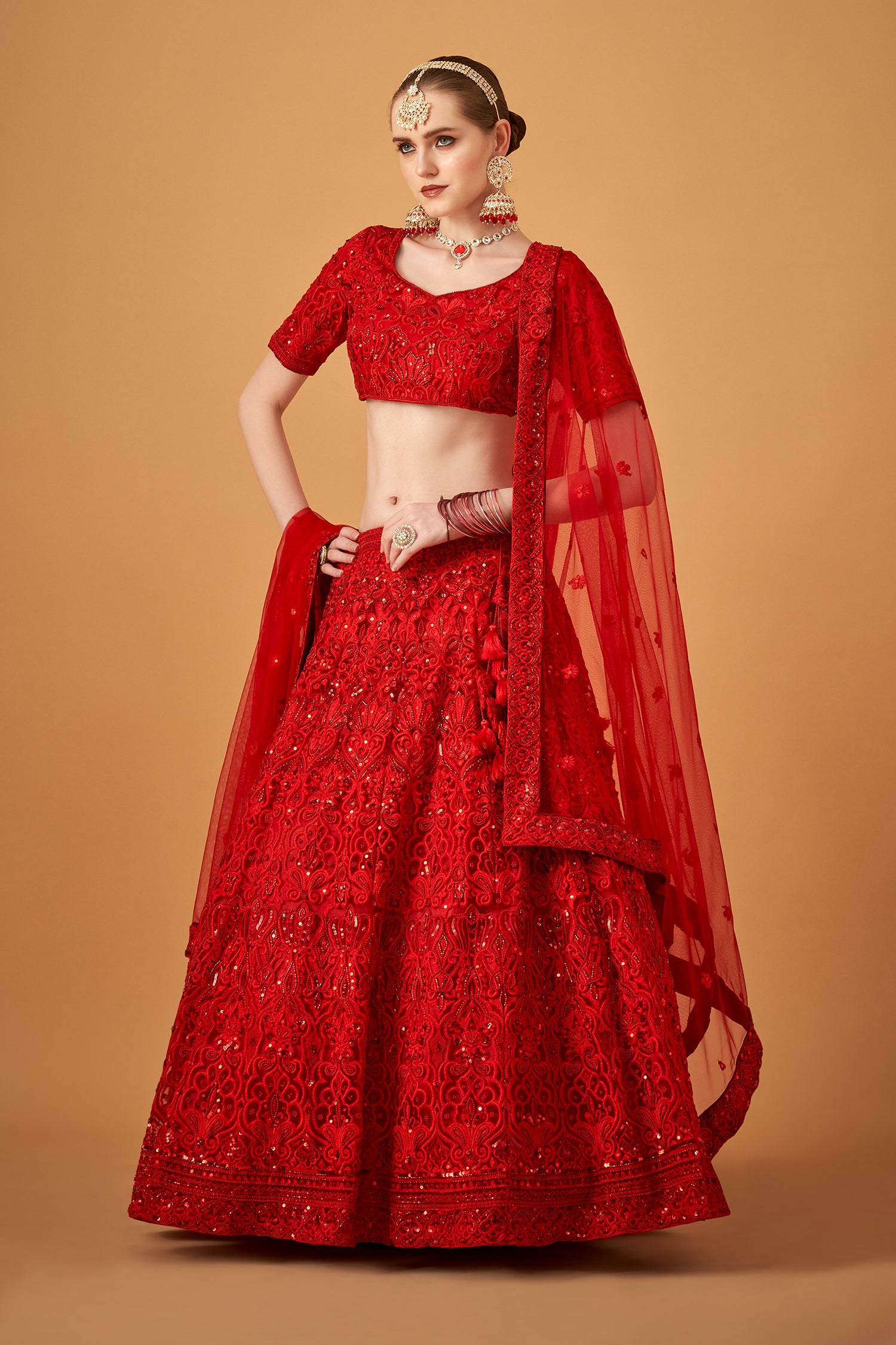 Stunning Red Handwork Lehenga Set